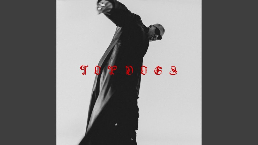 &nbsp;&raquo; Top Dogs &nbsp;&raquo; de Rymz : Une célébration de la&nbsp;résilience